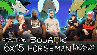 Bojack Horseman  6x15 The View From Halfway Down  Group Reaction [upl. by Antoinette]