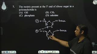 The moiety present at the 5 end of ribose sugar in a polynucleotide is [upl. by Alard484]