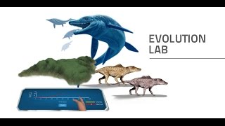 Labster Virtual Lab Evolution Simulation [upl. by Inej]