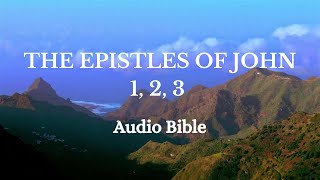 Epistles of John  Audio Bible [upl. by Darcee]