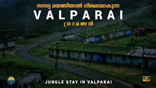 വന്യ മൃഗങ്ങൾ വിഹരിക്കുന്ന കുരങ്ങ് മുടി Valparai Night Stay at Tea Estate [upl. by Cullin461]