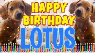 Happy Birthday Lotus  Funny Talking Dogs  What Is Free On My Birthday [upl. by Silvio]