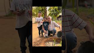 Money plant  plant lagao  happy children  home  gardening with kids  life [upl. by Marelya]