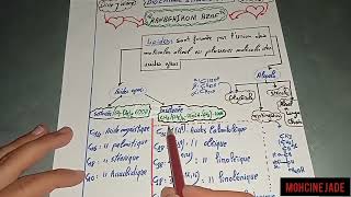 biochimie structurale  les lipides [upl. by Lundberg]