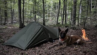 SOLO BUSHCRAFT OVERNIGHT CAMPING  Minimalistic Adventure with Dog [upl. by Charita]