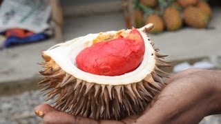 How To Eat A Durian AKA The King Of Fruits [upl. by Arlette]