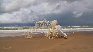 Strandbeest Hovering [upl. by Ysdnil838]