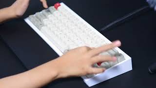 Mechanical Keyboard Asmr 眠くなる一本指打法【メカニカルキーボード4種】 [upl. by Desi]