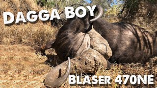 Buffalo Hunting with quotDagga Boyquot KwaZulu Natal South Africa 2019 [upl. by Diba]