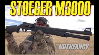 Who Needs a Benelli Stoeger M3000 [upl. by Aiksa]