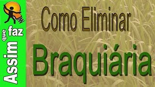 Como Eliminar a Braquiária do Jardim ou Gramado [upl. by Lednahs]