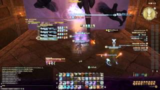 FFXIV アムダプール Amdapor Keep デモンズウォール 白魔道士視点動画 20130901 Tiamat [upl. by Giulietta299]