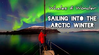 Sailing into the Arctic Winter  Northern Norway Sailing Free Spirit [upl. by Atrebor]