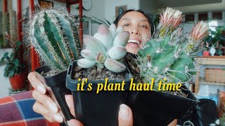 Mega cacti amp succulent haul and butchering botanical names [upl. by Aicekat]