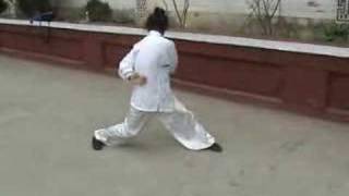 a kung fu masters amazing exercise [upl. by Anohs]