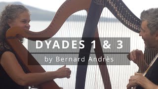 Dyades duet  Harpist in the Wild New Zealand with Anna Dunwoodie [upl. by Annirok]