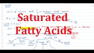 6 Fatty Acids Saturates FA [upl. by Dannye]