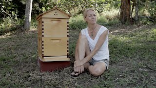 Beginner Beekeeping Ep 2  Situating your Flow™ Hive [upl. by Kelly841]