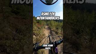 Klinovec Baron Trail Vibes bikepark mtb enduromtb asmr [upl. by Nwhas645]