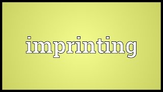 Imprinting Meaning [upl. by Normi]