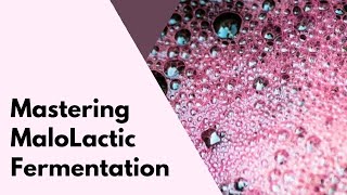 Mastering MaloLactic Fermentation [upl. by Gisela754]