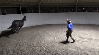 Monty Roberts explains JoinUp® with Equus the horse [upl. by Adnawat]