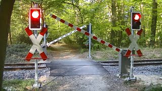 Spoorwegovergang Bad Bentheim D  Railroad crossing  Bahnübergang [upl. by Honey]