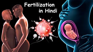 Fertilization  Pregnancy  Baby Delivery [upl. by Alial335]