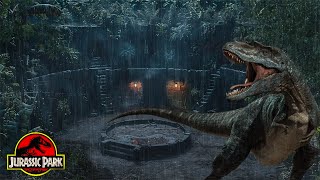 The Lost World Jurassic Park Ambience  Rainfall amp Dinosaurs Sound  Fall Asleep with Rain  LIVE [upl. by Romie]