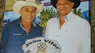 João Vitor e Fernando  Voltei pro sertão [upl. by Dleifrag913]