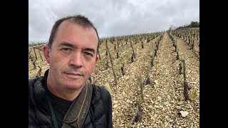 Balade Gourmande Chablis 2019 [upl. by Seymour]