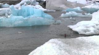 Wim Hof The Iceman [upl. by Llenoil]