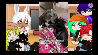 Pros react to Dekus pets mhabnha part 2 [upl. by Tansy]