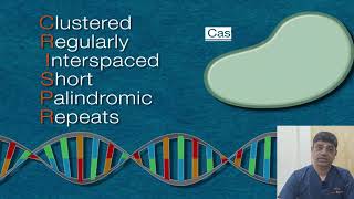 CRISPRCAS9  RNA BASED GENE EDITING TECHNOLOGY [upl. by Annam353]