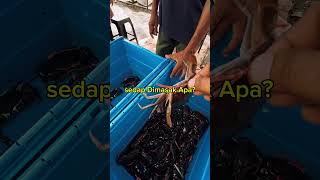 Ketam Nipah tu [upl. by Hamrnand]