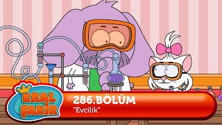 Kral Şakir 286 Bölüm  Evcilik 🔥 YENİ BÖLÜM [upl. by Sacttler760]