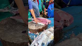 Tuna fish cutting tunasashimi fishcooking streetfood tunafish fishcutting food seafood [upl. by Aseret981]