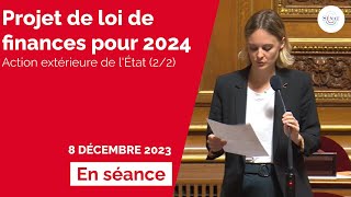 Budget 2024  action extérieure de lÉtat 22 [upl. by Gefen372]