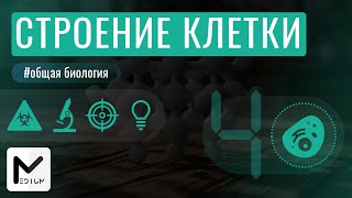 Строение клетки  ЕГЭ по биологии [upl. by Ramoj]