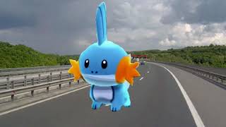 mudkip walk but on a highway [upl. by Avihs]