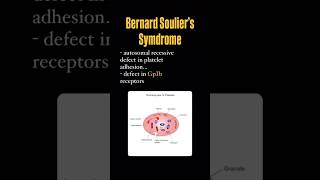 Bernard Soulier’s syndrome and platelet defect bleeding platelets blood usmle neetpg mbbs [upl. by Einaled]