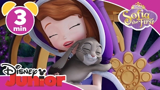 Magical Moments  Sofia the First Clovers Bestfriend  Disney Junior UK [upl. by Greabe]