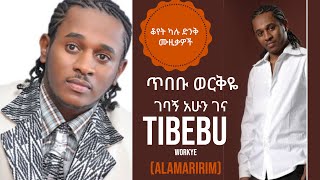 Tibebu Workye  Gebagn Ahun Gena  Ethiopian Music [upl. by Issiah21]