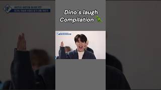 Dino’s laugh compilation seventeen funny dino [upl. by Golightly]