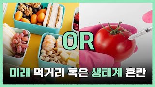 유전자 조작 식품 GMO 정말 안전할까 [upl. by Allimac]