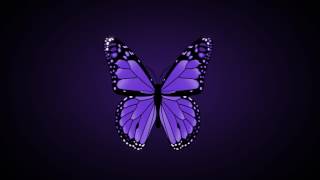 Purple Butterfly flapping wings  Free motion graphics [upl. by Kimberli]