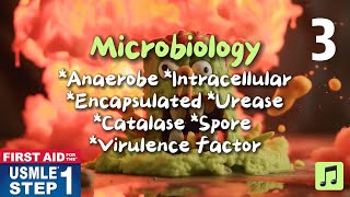 Microbiology Anaerobe Intracellular Encapsulated Ureases 2024 First Aid USMLE Step 1 [upl. by Leirol]