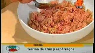 terrina de atun pt2 201111093gp [upl. by Dietrich]