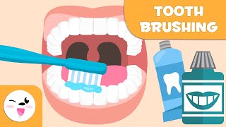 How to Brush Your Teeth  Tooth Brushing for Kids [upl. by Nolham]