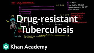 Drugresistant TB  Infectious diseases  NCLEXRN  Khan Academy [upl. by Arrej]